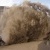 Dakar Rally