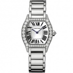 Cartier Tortue Small model WA5072W9