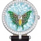Caligo