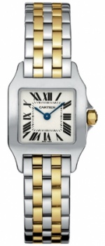 Cartier New Santos Demoiselle w25066z6