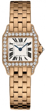 Cartier New Santos Demoiselle wf9008z8