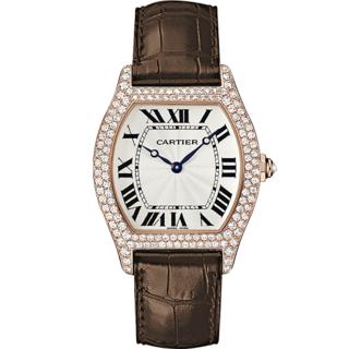 cartier tortue secret watch