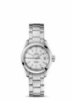 OMEGA Seamaster Aqua Terra 231.10.30.20.02.001
