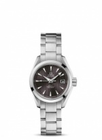 OMEGA Seamaster Aqua Terra 231.10.30.20.06.001