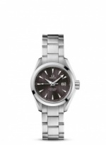 OMEGA Seamaster Aqua Terra 231.10.30.61.06.001