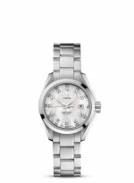 OMEGA Seamaster Aqua Terra 231.10.30.61.55.001