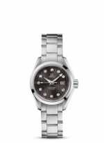 OMEGA Seamaster Aqua Terra 231.10.30.61.56.001