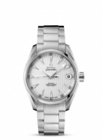 OMEGA Seamaster Aqua Terra 231.10.39.21.02.001