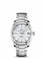 OMEGA Seamaster Aqua Terra 231.10.39.21.55.001