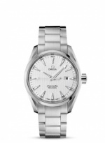 OMEGA Seamaster Aqua Terra 231.10.39.61.02.001