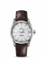 OMEGA Seamaster Aqua Terra 231.13.39.21.02.001