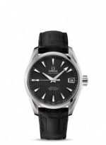 OMEGA Seamaster Aqua Terra 231.13.39.21.06.001