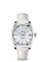OMEGA Seamaster Aqua Terra 231.13.39.21.55.001