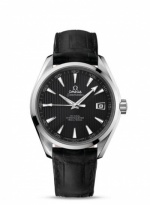 OMEGA Seamaster Aqua Terra 231.13.42.21.06.001