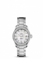 OMEGA Seamaster Aqua Terra 231.15.30.20.55.001