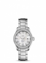 OMEGA Seamaster Aqua Terra 231.15.30.61.55.001