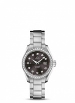OMEGA Seamaster Aqua Terra 231.15.30.61.56.001