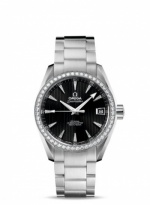OMEGA Seamaster Aqua Terra 231.15.39.21.51.001