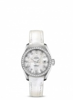 OMEGA Seamaster Aqua Terra 231.18.30.20.55.001