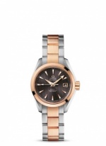 OMEGA Seamaster Aqua Terra 231.20.30.20.06.001