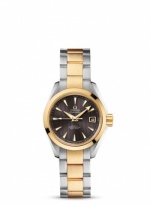 OMEGA Seamaster Aqua Terra 231.20.30.20.06.002