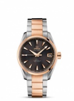OMEGA Seamaster Aqua Terra 231.20.39.21.06.001