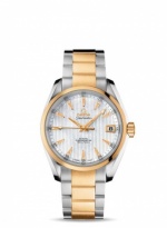 OMEGA Seamaster Aqua Terra 231.20.39.21.55.002