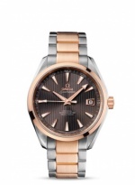 OMEGA Seamaster Aqua Terra 231.20.42.21.06.001
