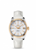 OMEGA Seamaster Aqua Terra 231.23.39.21.55.002