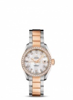 OMEGA Seamaster Aqua Terra 231.25.30.20.55.001