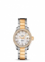 OMEGA Seamaster Aqua Terra 231.25.30.20.55.002