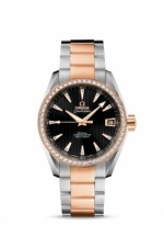 OMEGA Seamaster Aqua Terra 231.25.39.21.51.001