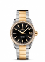 OMEGA Seamaster Aqua Terra 231.25.39.21.51.002