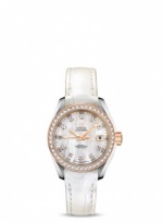 OMEGA Seamaster Aqua Terra 231.28.30.20.55.001