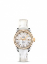 OMEGA Seamaster Aqua Terra 231.28.30.20.55.002