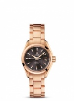 OMEGA Seamaster Aqua Terra 231.50.30.20.06.001