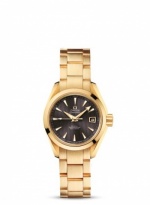 OMEGA Seamaster Aqua Terra 231.50.30.20.06.002