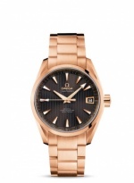 OMEGA Seamaster Aqua Terra 231.50.39.21.06.001