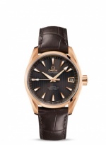 OMEGA Seamaster Aqua Terra 231.53.39.21.06.001