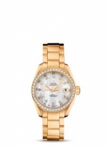 OMEGA Seamaster Aqua Terra 231.55.30.20.55.002