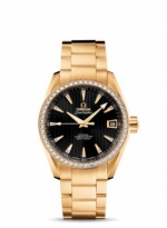 OMEGA Seamaster Aqua Terra 231.55.39.21.51.002