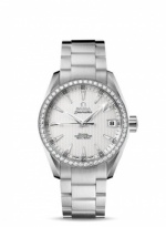 OMEGA Seamaster Aqua Terra 231.55.39.21.52.001