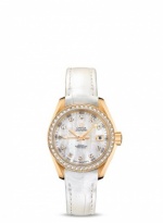 OMEGA Seamaster Aqua Terra 231.58.30.20.55.002