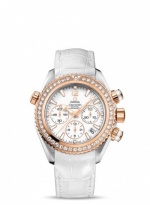 OMEGA Seamaster Planet Ocean 222.28.38.50.04.001