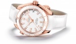 OMEGA Seamaster Planet Ocean Ceragold 232.63.42.21.04.001